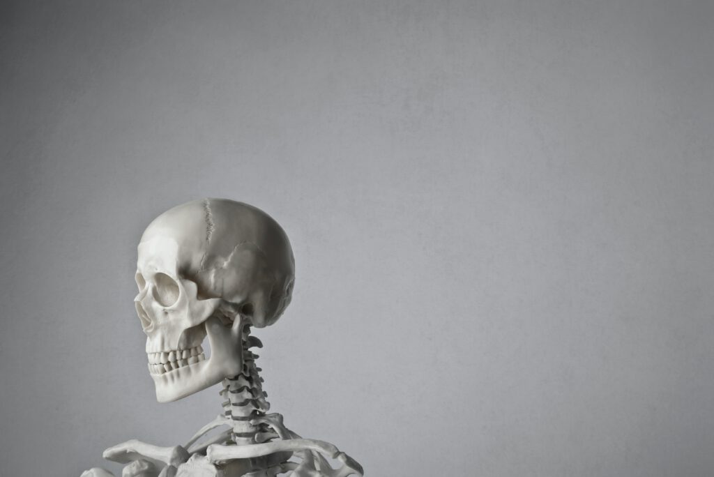 Posture et mâchoire en ostéopathie - Yoann Chenault Ostéopathe Olivet